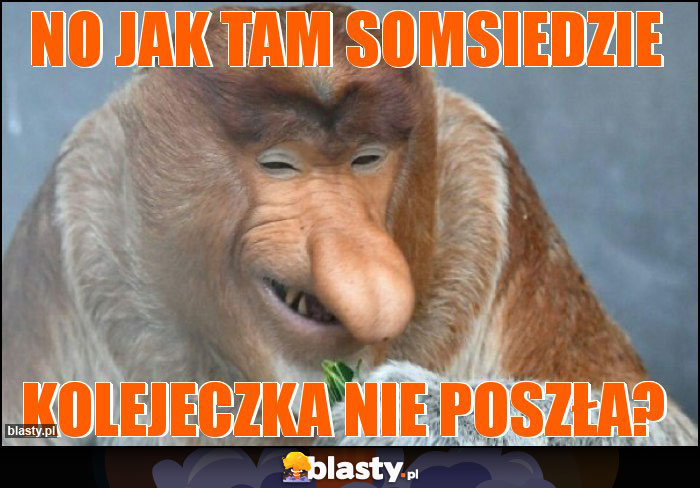 No jak tam somsiedzie