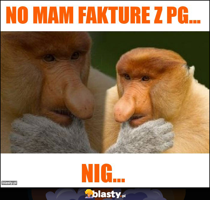 no mam fakture z pg...
