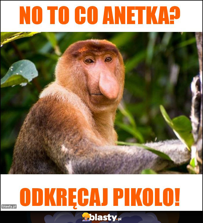 No to co Anetka?