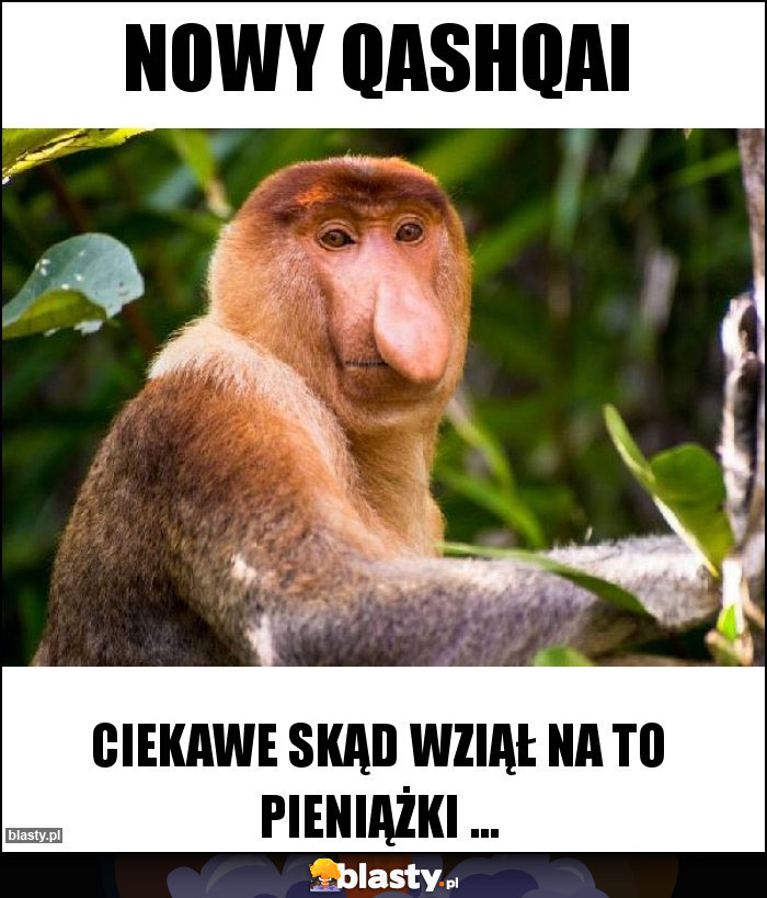 Nowy qashqai