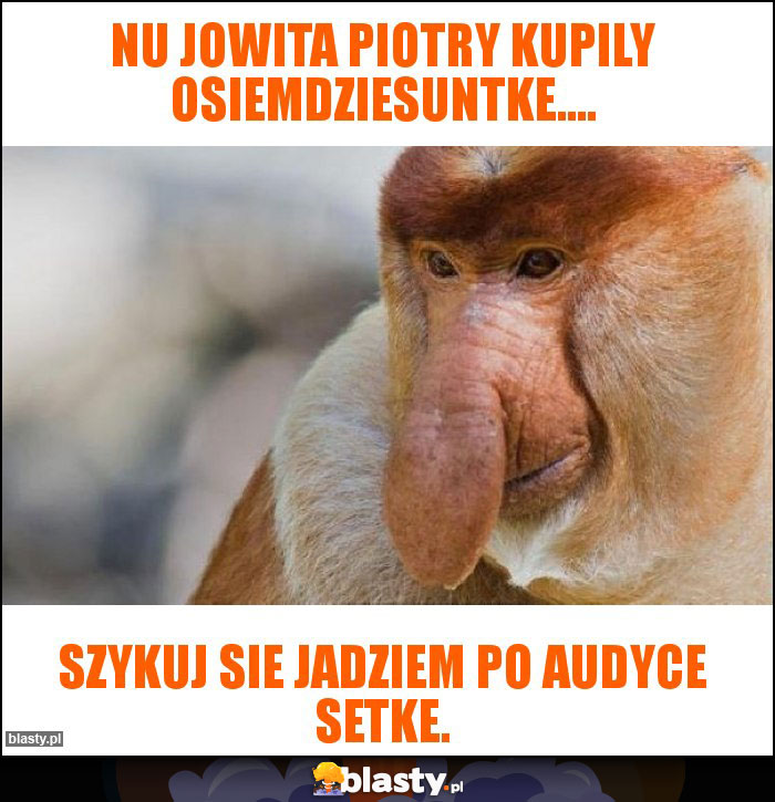 Nu Jowita piotry kupily osiemdziesuntke....