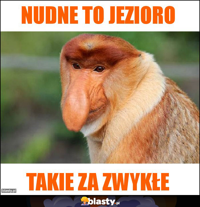 Nudne to jezioro