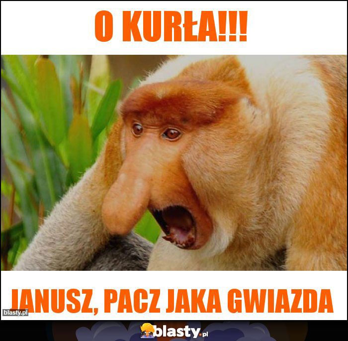 O kurła!!!