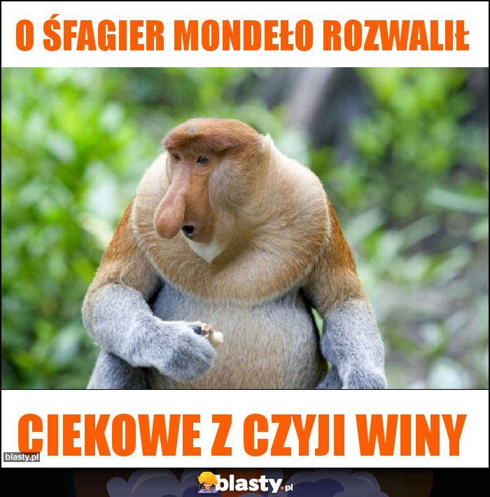 O śfagier mondeło rozwalił