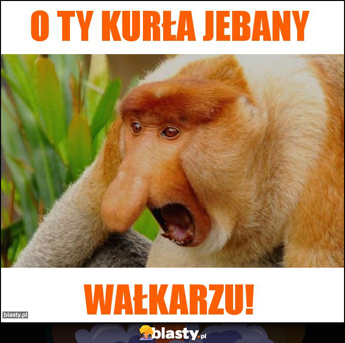 o ty KURła jebany