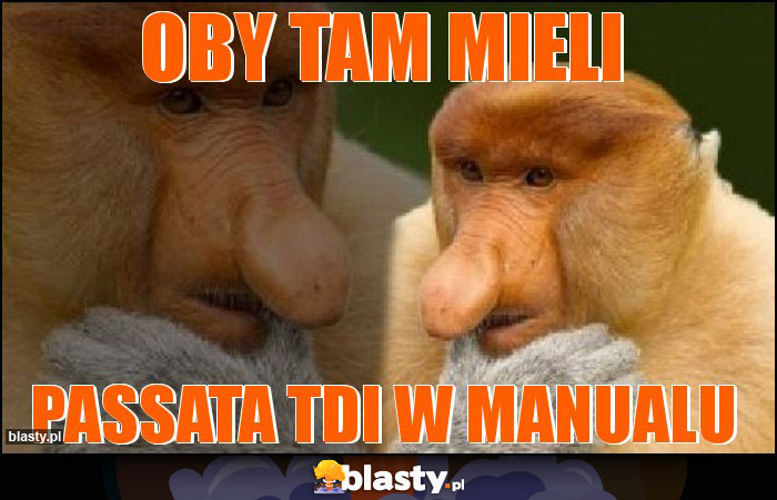 Oby tam mieli