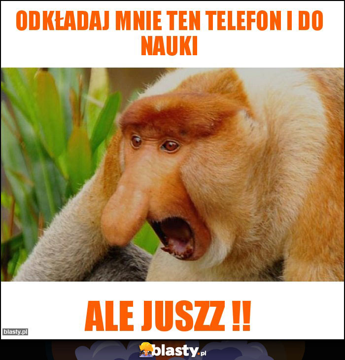 Odkładaj mnie ten telefon i do nauki