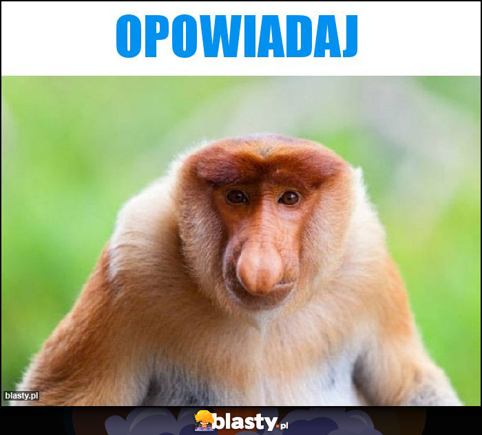 Opowiadaj