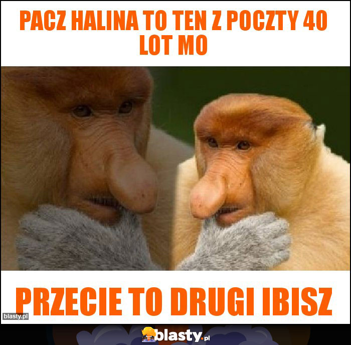 pacz halina to ten z poczty 40 lot mo