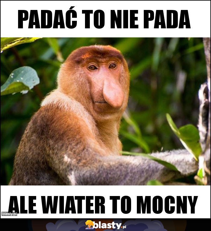 PADAĆ TO NIE PADA