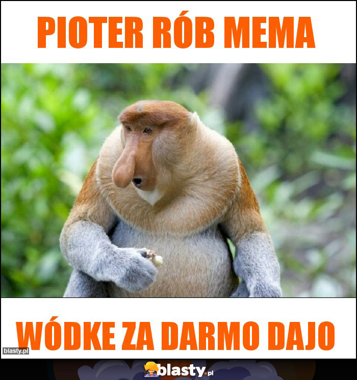 Pioter rób mema