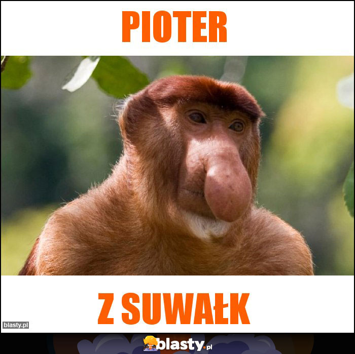 Pioter