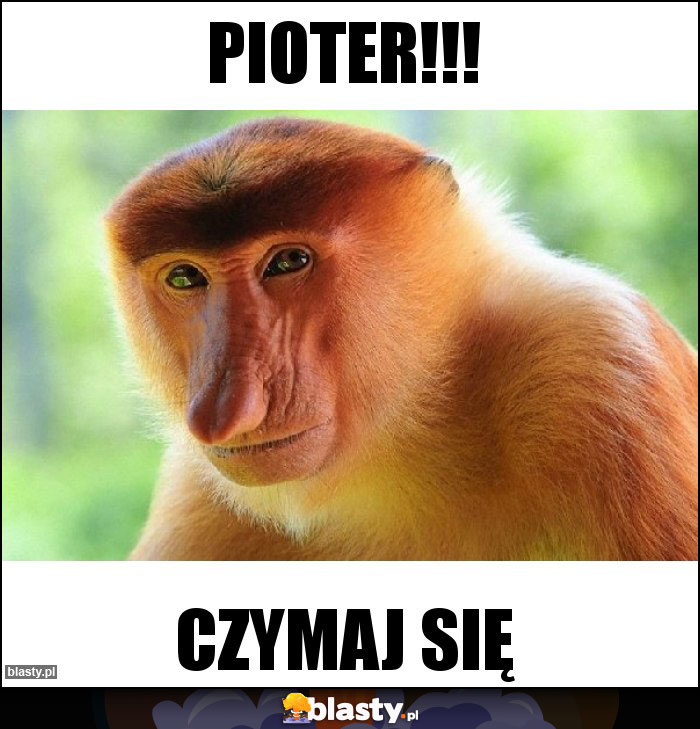 Pioter!!!