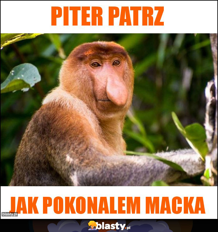 Piter patrz