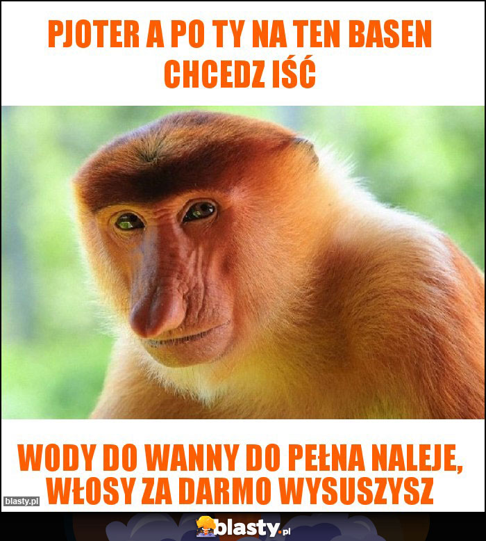 Pjoter a po ty na ten basen chcedz iść