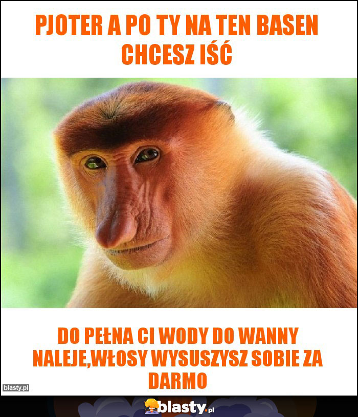 Pjoter a po ty na ten basen chcesz iść