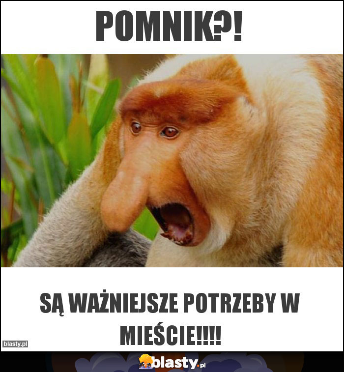 Pomnik?!