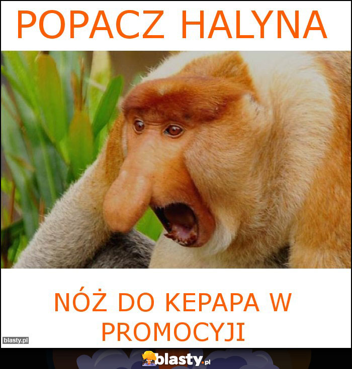 POPACZ HALYNA