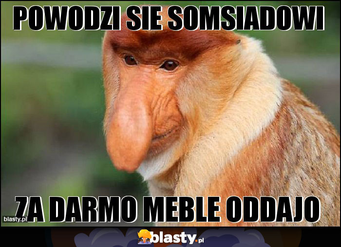 Powodzi sie somsiadowi