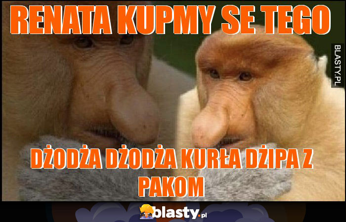 Renata kupmy se tego