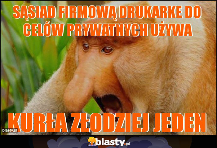 Sąsiad firmową drukarke do celów prywatnych używa