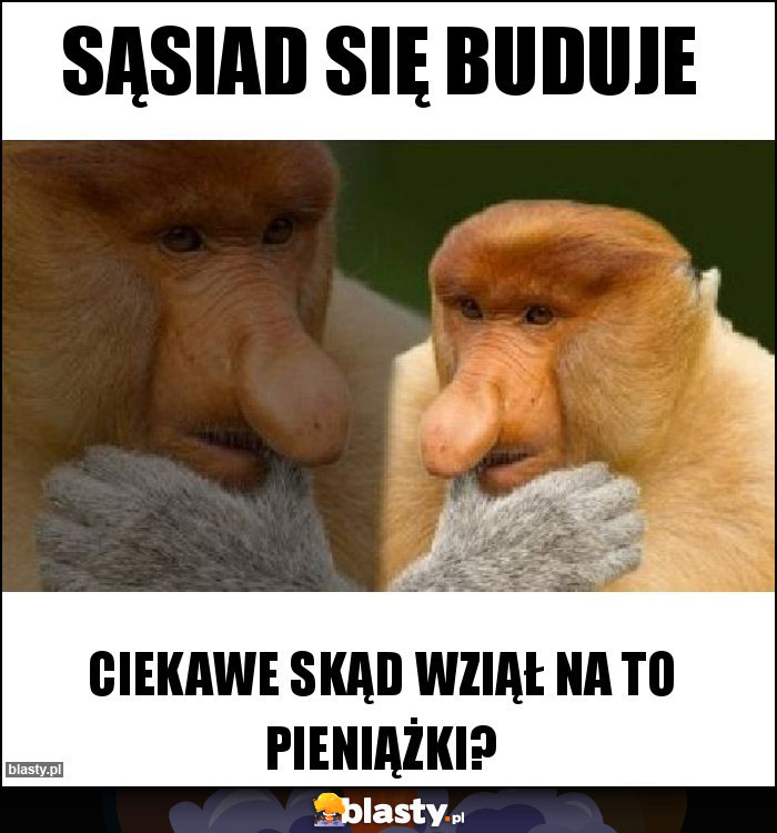 Sąsiad się buduje