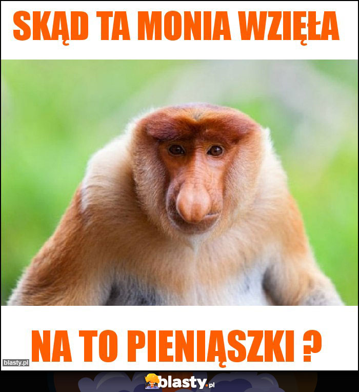 Skąd ta Monia wzięła