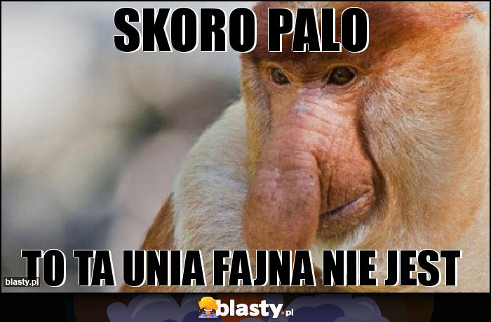 skoro palo