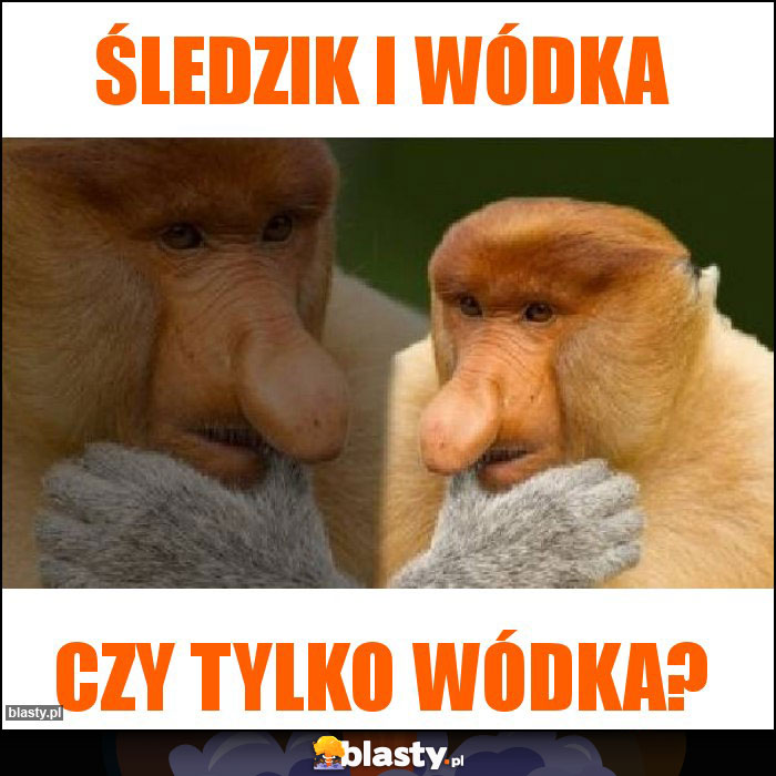 Śledzik i wódka