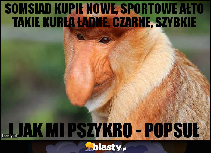 Somsiad kupił nowe, sportowe ałto takie kurła ładne, czarne, szybkie