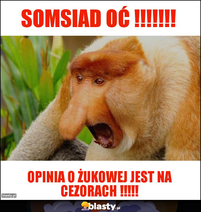 Somsiad oć !!!!!!!