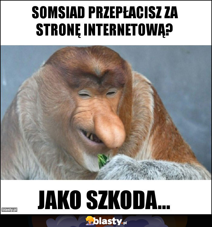 SOMSIAD PRZEPŁACISZ ZA STRONĘ INTERNETOWĄ?