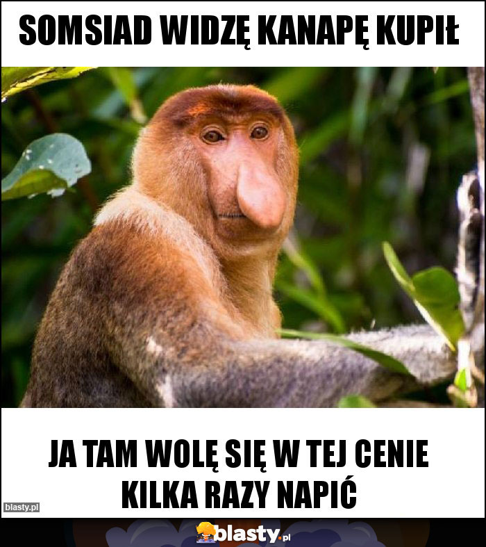 Somsiad widzę kanapę kupił