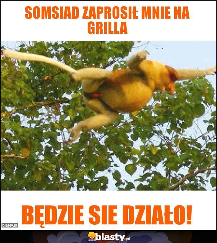 somsiad zaprosił mnie na grilla