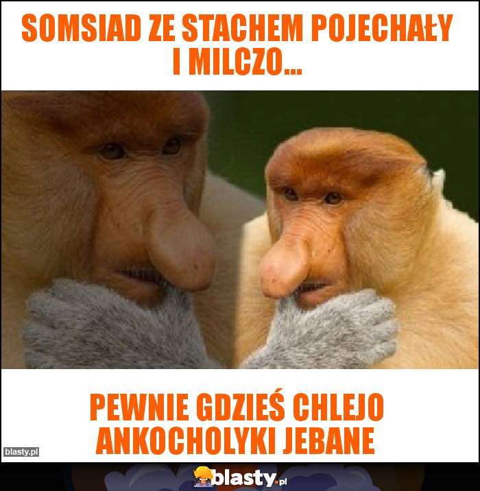 Somsiad ze stachem pojechały i milczo...