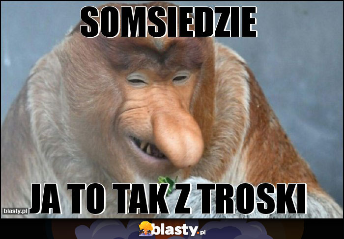 SOMSIEDZIE