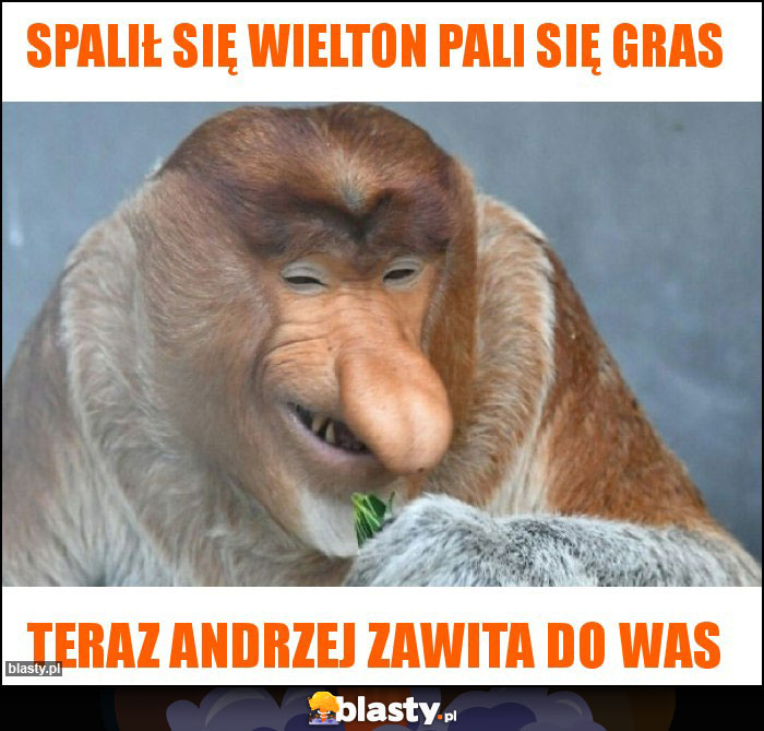 Spalił się Wielton pali się gras