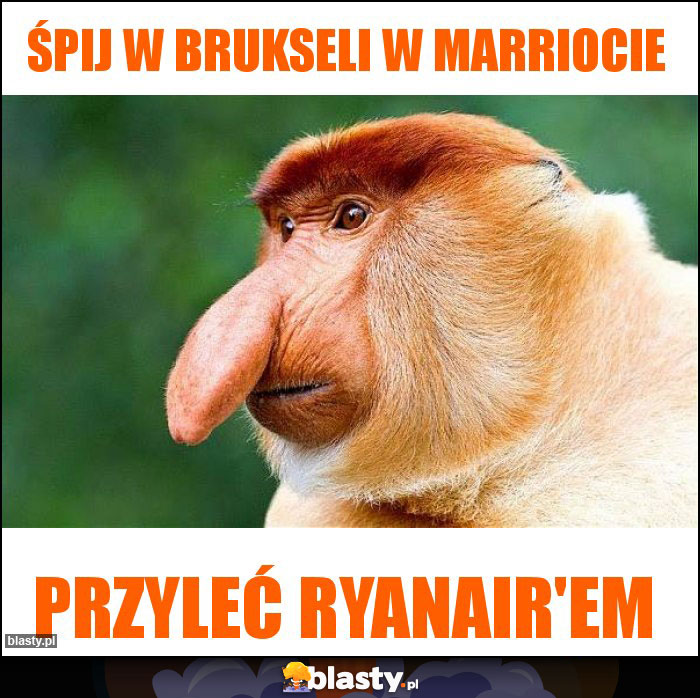 Śpij w Brukseli w Marriocie