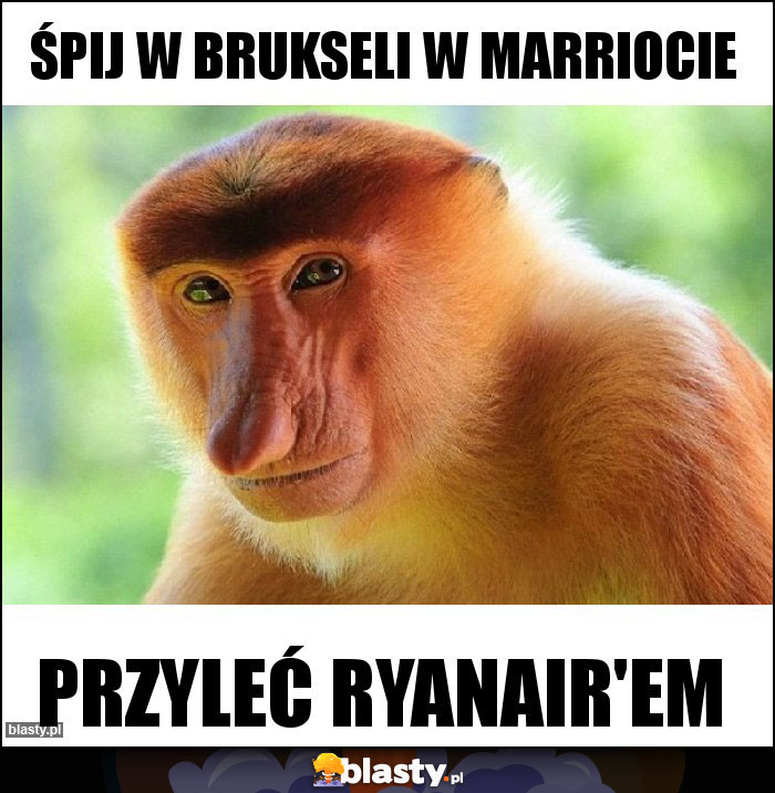 Śpij w Brukseli w Marriocie