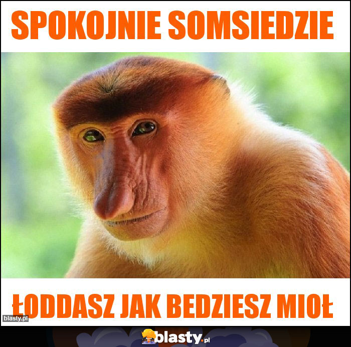 Spokojnie somsiedzie