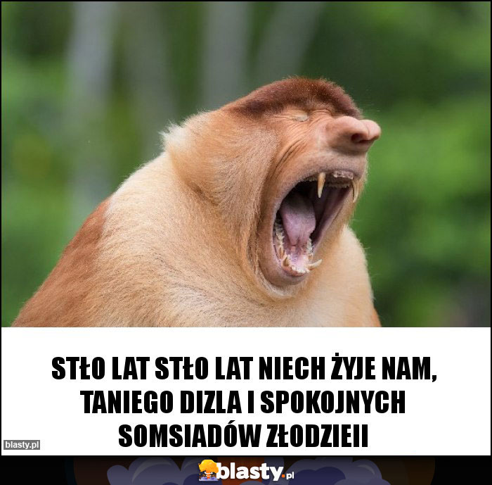 Stło lat stło lat niech żyje nam, taniego dizla i spokojnych somsiadów złodzieii