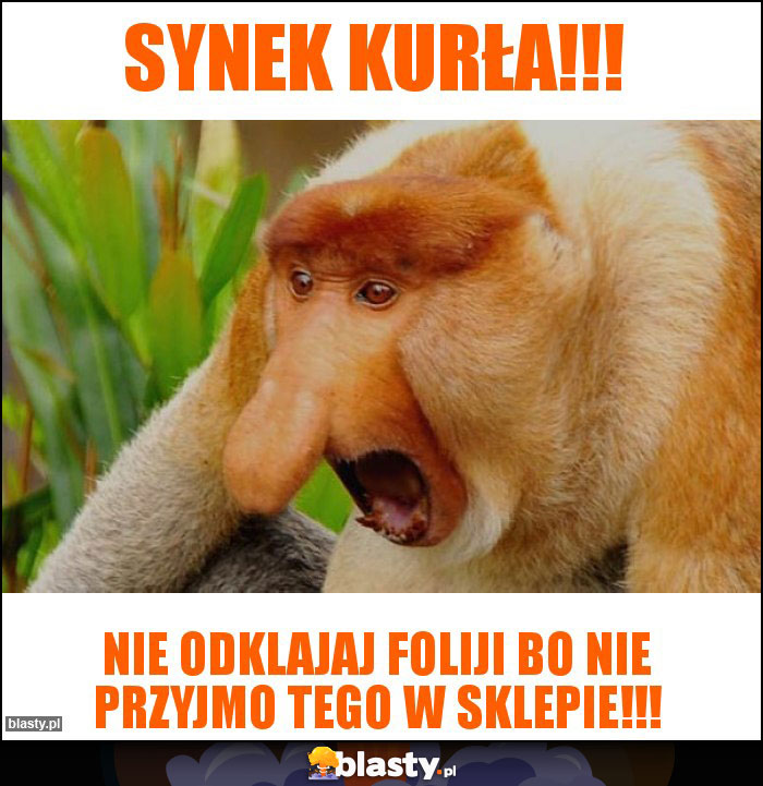 SYNEK KURŁA!!!