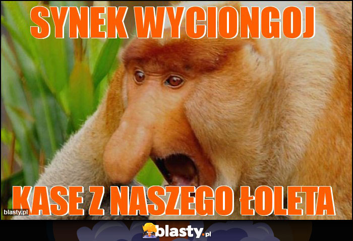 Synek wyciongoj