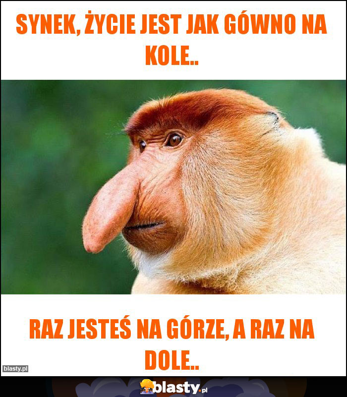 Synek, życie jest jak gówno na kole..