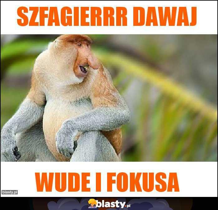 Szfagierrr dawaj