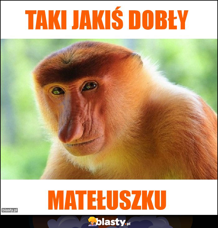 Taki jakiś dobły