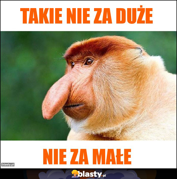 Takie nie za duże