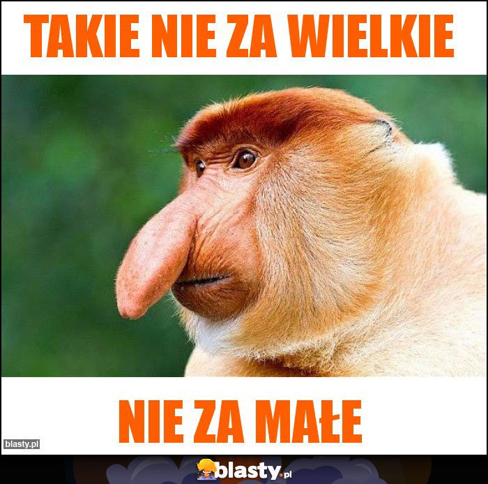 Takie nie za wielkie