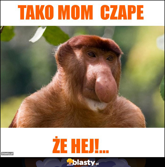 TAKO MOM  CZAPE