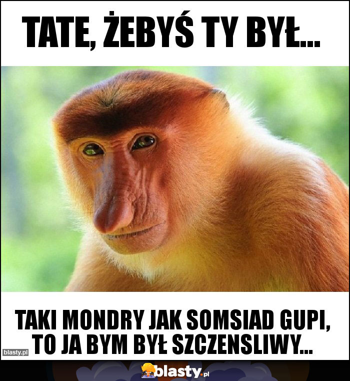 Tate, żebyś Ty był...